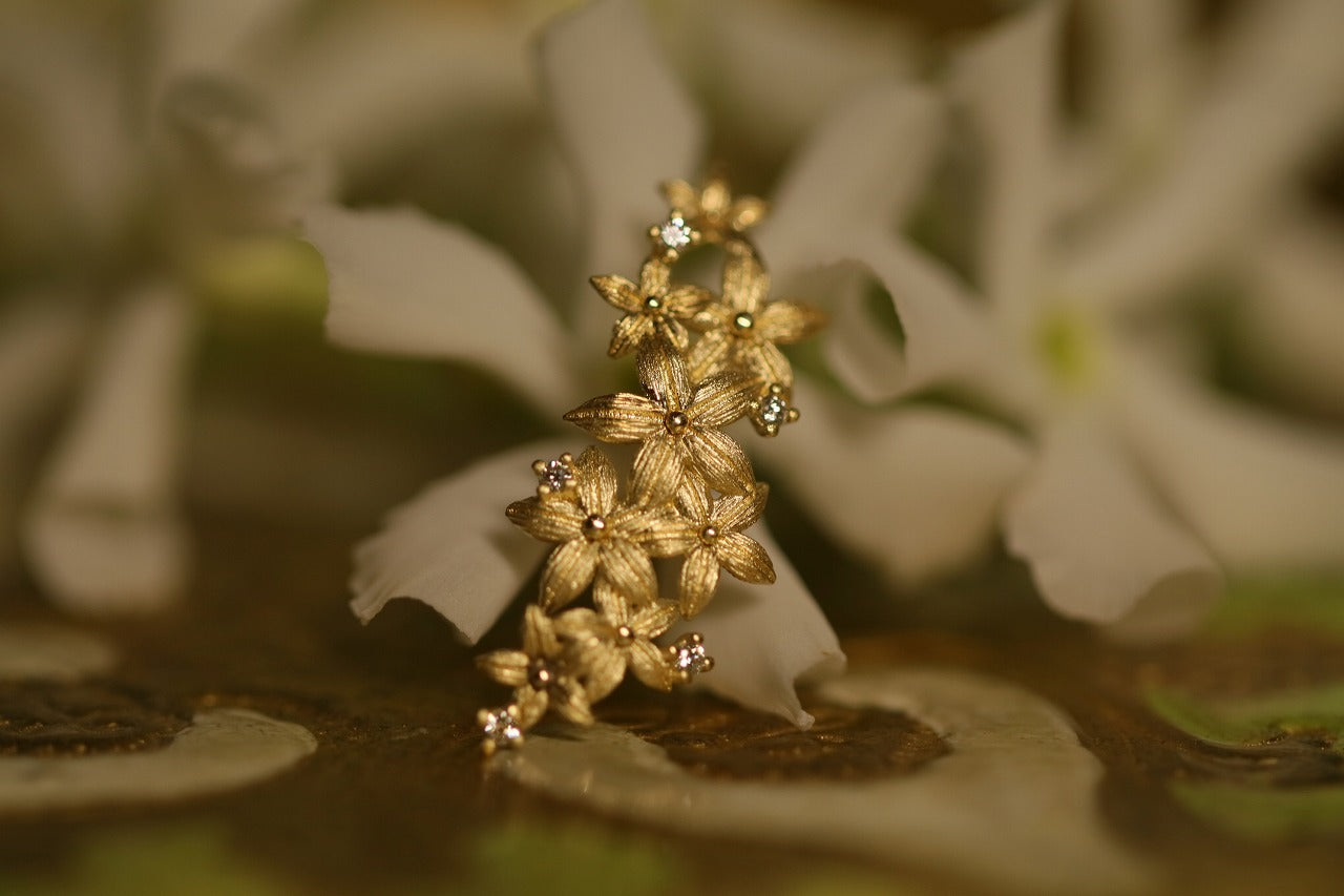 Jasmine – quarantotto