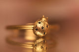 Coccinella