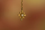 Stella Invernale