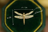 Libellula