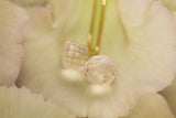Quarzo rosa