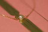 Cattura di Pearl Pierce