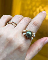 Castello marino ( Peacock )