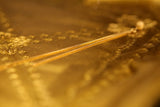 Cattura della catena media veneziana