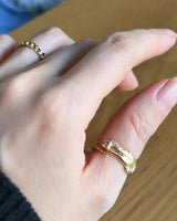 Coccodrillo fortunato