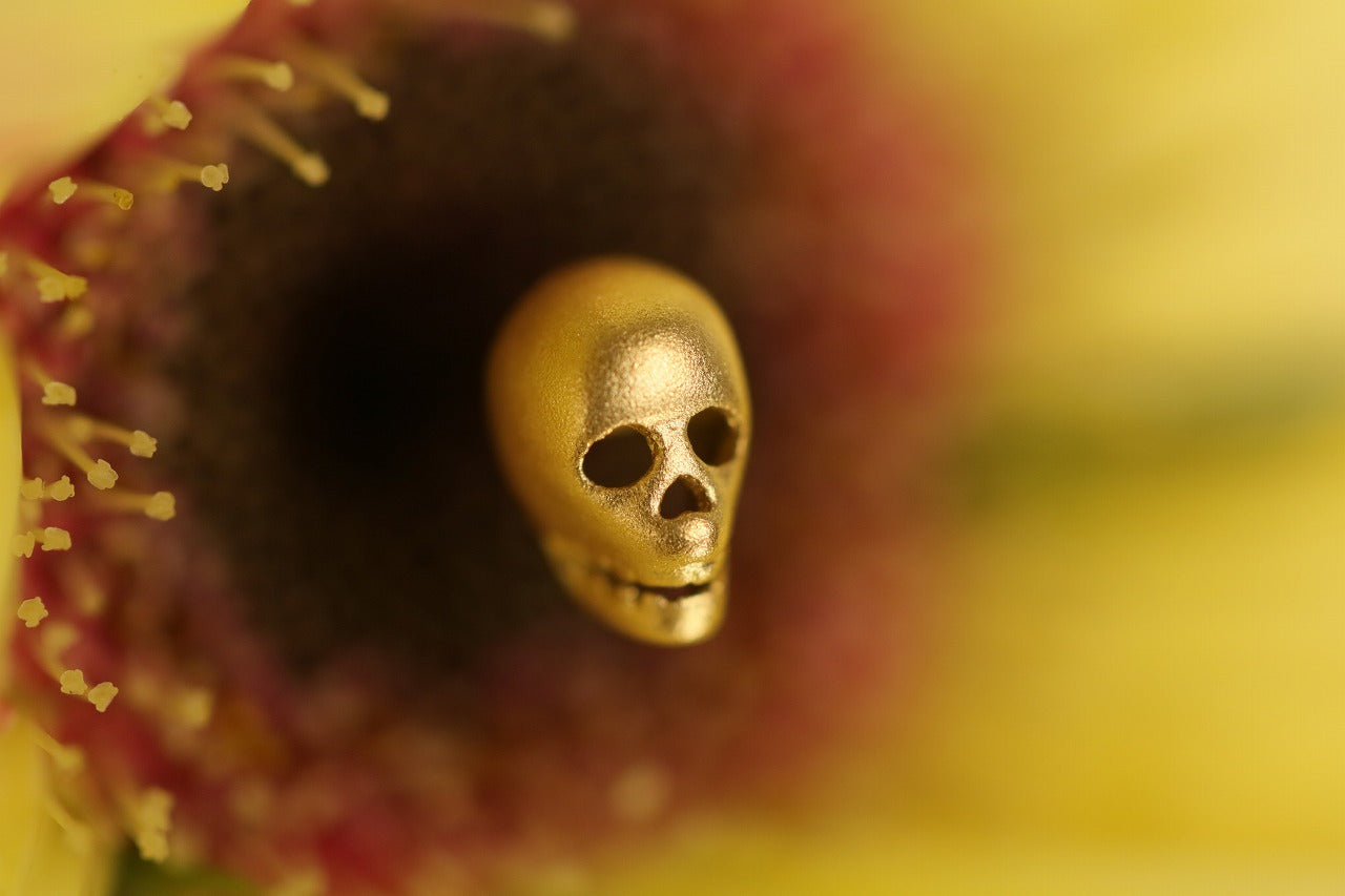 Memento mori – quarantotto