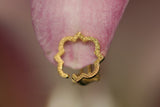 Porta del Paradiso for Earring