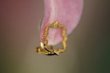 Porta del Paradiso for Earring