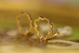Porta del Paradiso for Earring