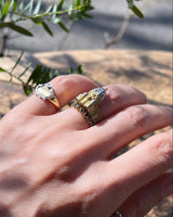 圣玛丽亚-德尔-菲奥雷