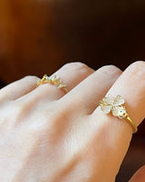 四面体和Coccinella