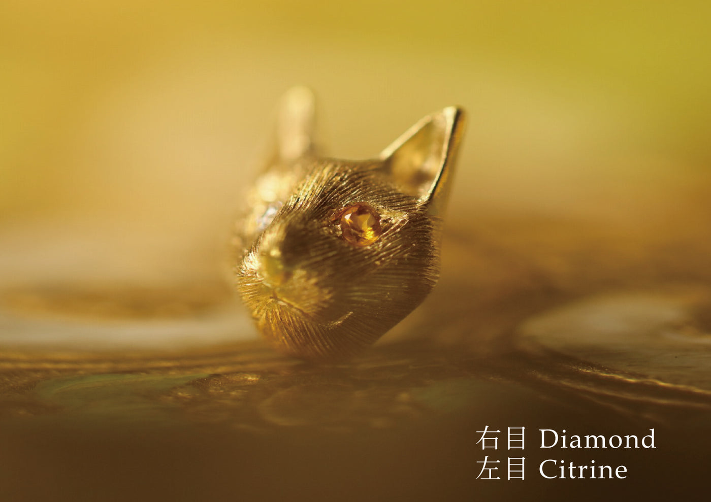 Gatto – quarantotto