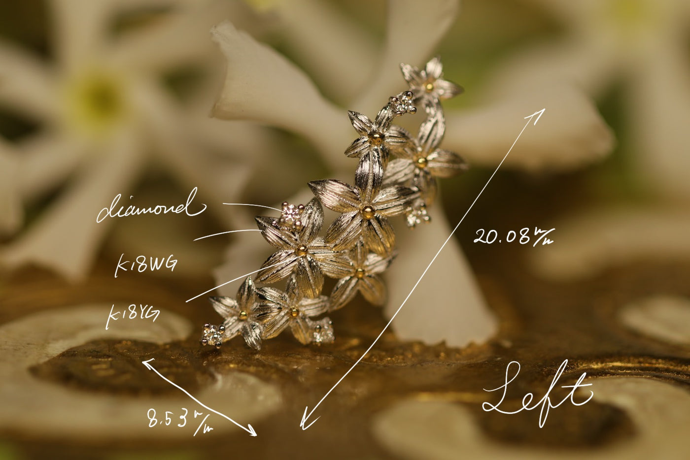 Jasmine – quarantotto