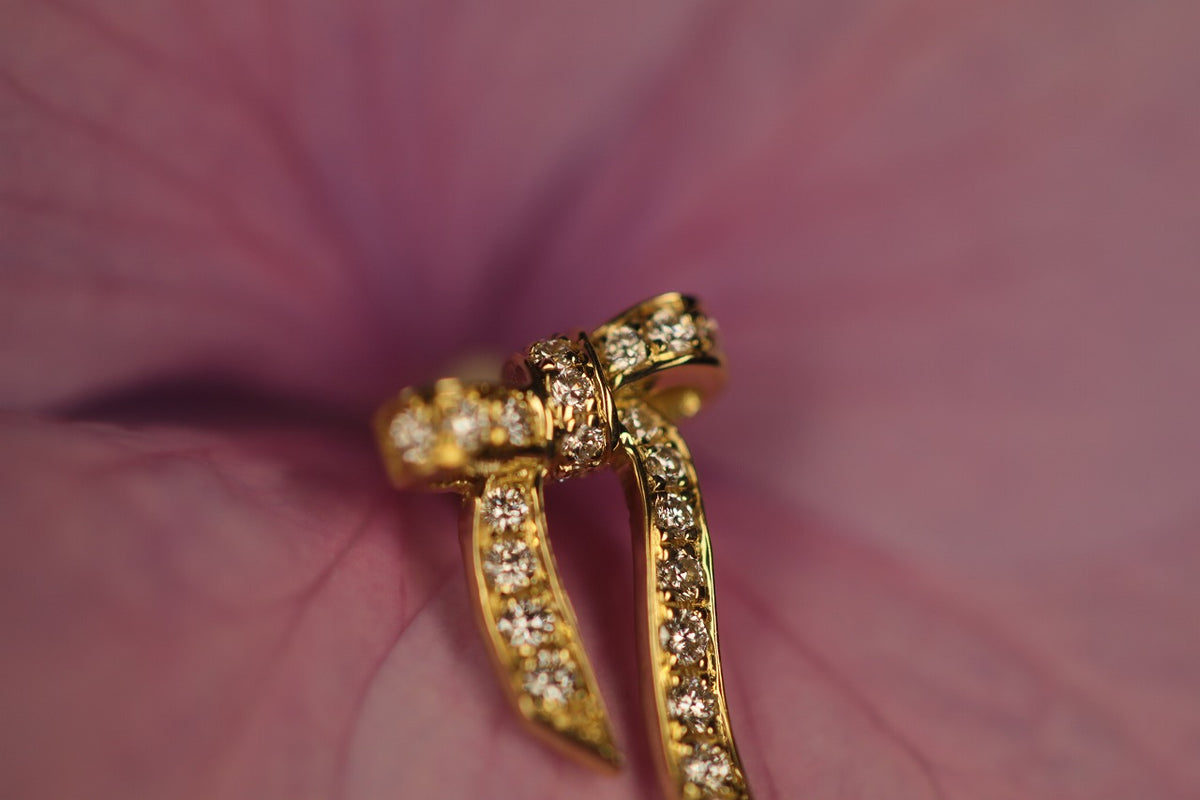 Eleganza – quarantotto