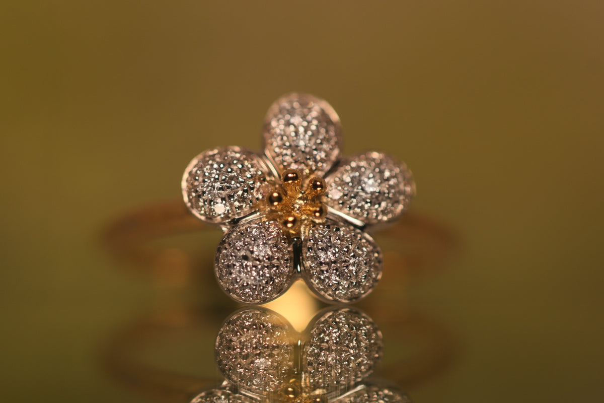 Ring – quarantotto