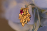 Signorina