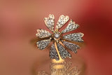 Si o no?