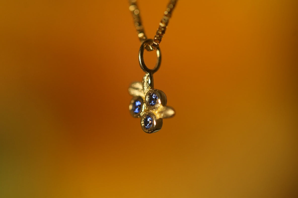 Blueberry – quarantotto