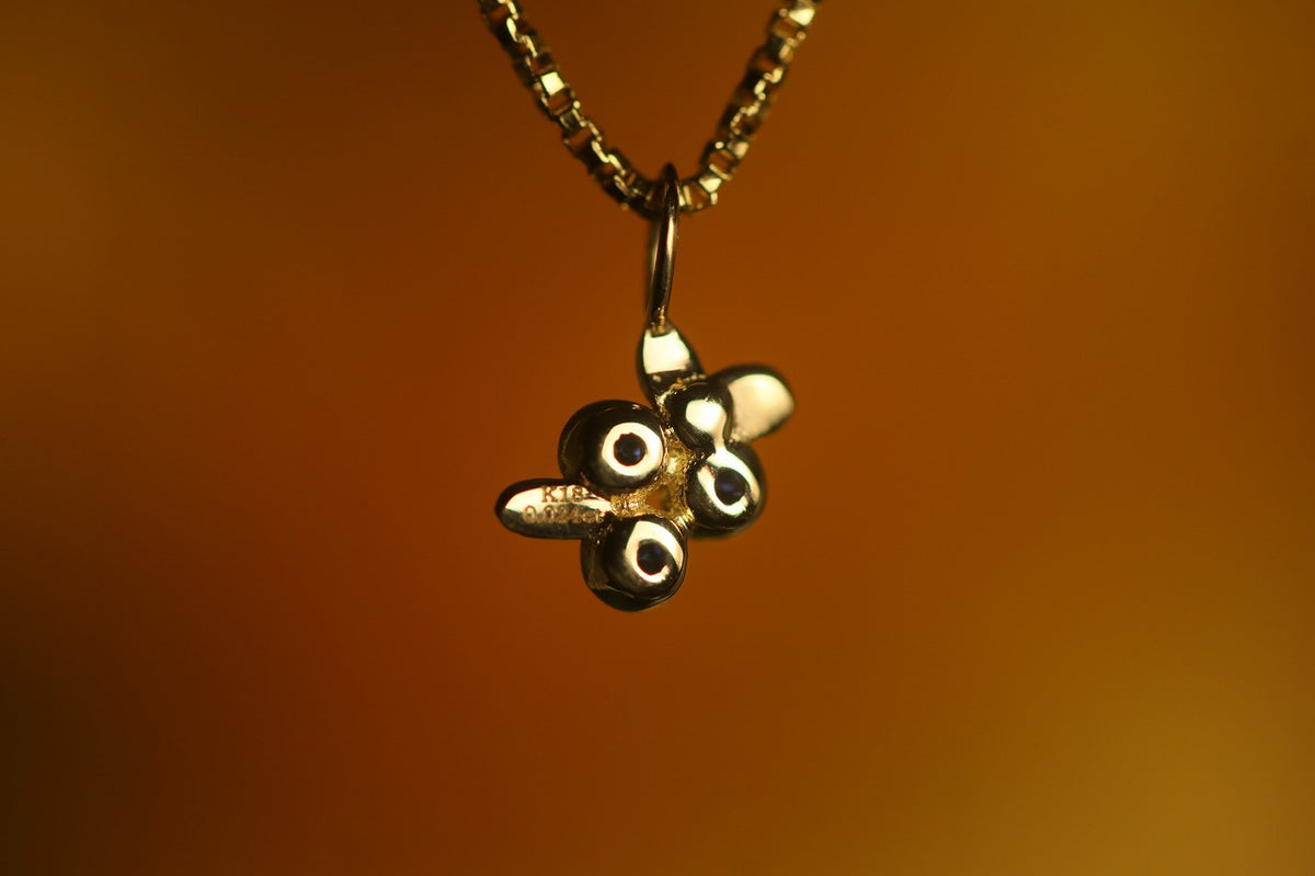 Blueberry – quarantotto