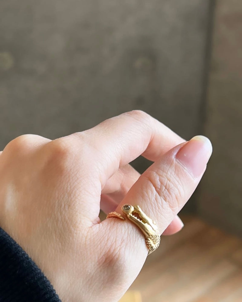 Coccodrillo fortunato