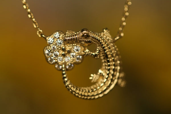 Coccodrillo fortunato