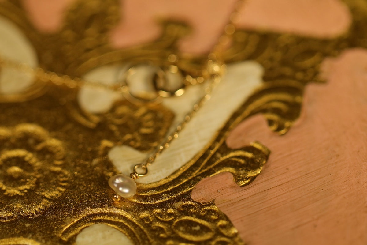 Coccodrillo fortunato – quarantotto