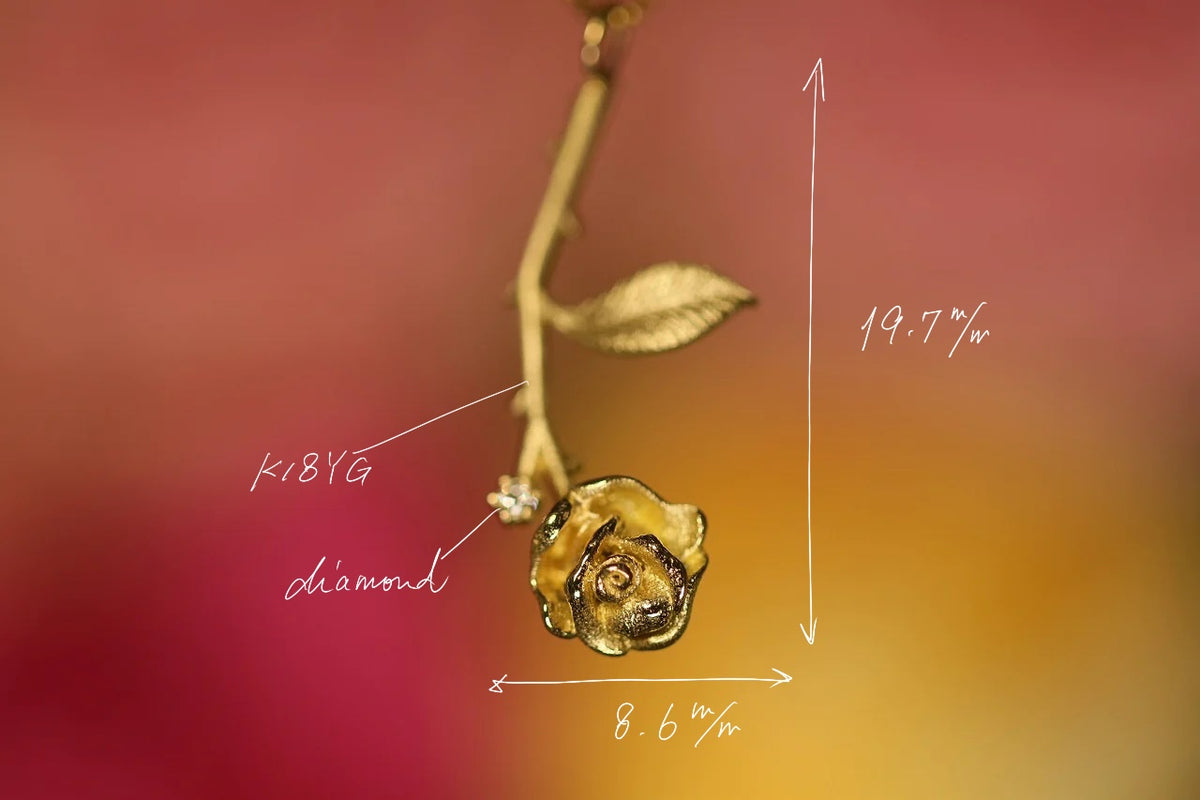 Rosa_solitaria_1200x.jpg?v=