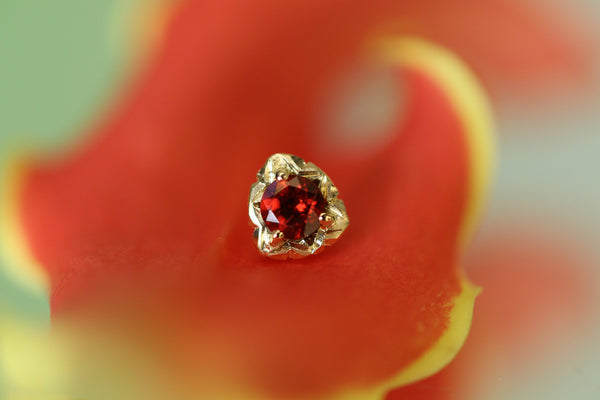 Pietra mia < Garnet >