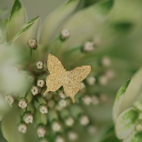 Ulysses – quarantotto