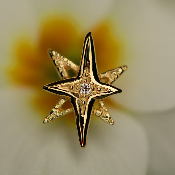 す*れ様 quarant'otto stellaのピアス 片耳 Collezionista di stelle
