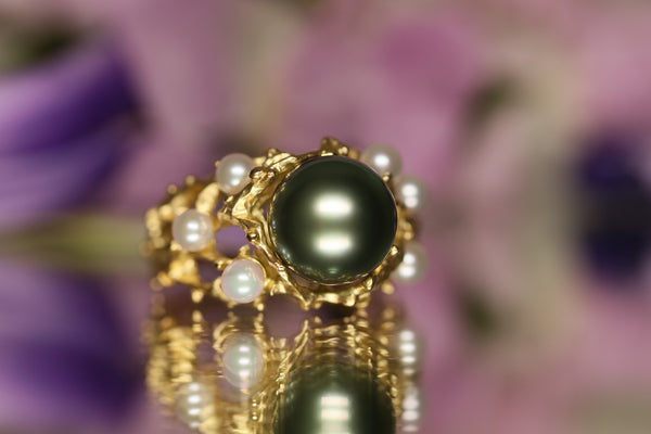 Castello marino （ Peacock ）