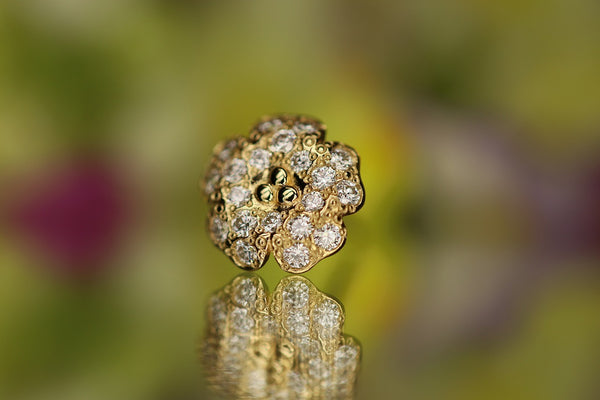 Coccodrillo fortunato