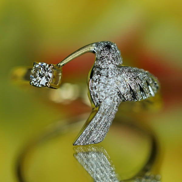 Hummingbird – quarantotto