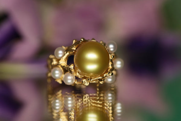 Castello marino （ Gold ）