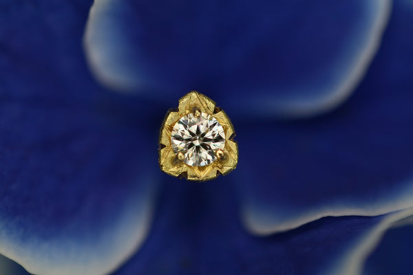 Pietra mia < Bright Brown Diamond >