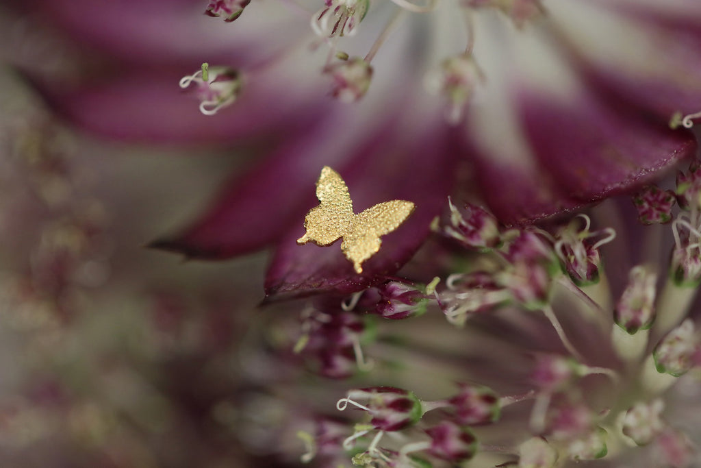Ulysses Mini – quarantotto