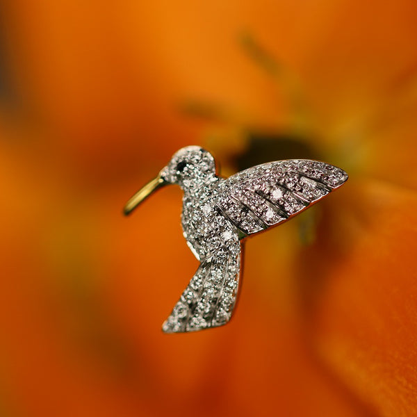 Hummingbird – quarantotto