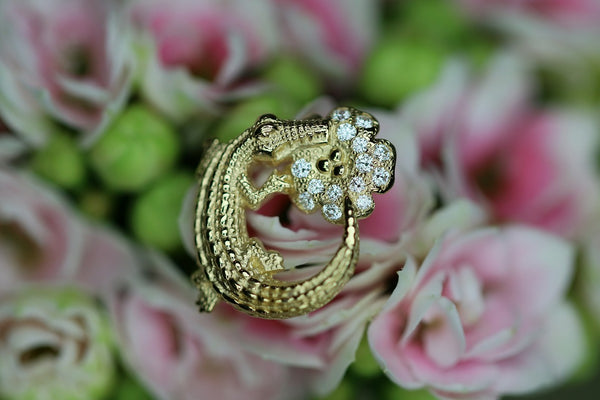 Coccodrillo fortunato