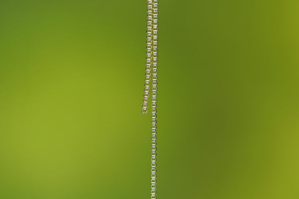 Venetian Long Chain Charm