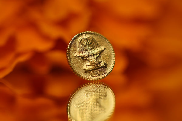 Moneta nella fontana