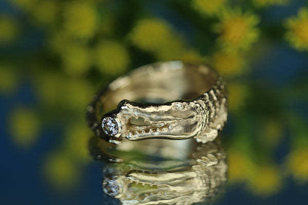 Coccodrillo fortunato