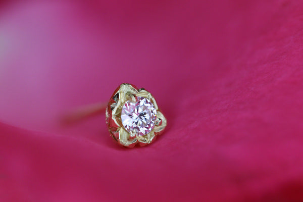 Pietra mia < White Diamond >