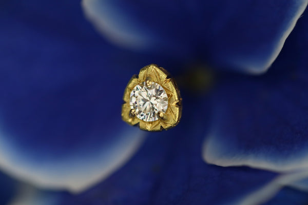 Pietra mia < Bright Brown Diamond >