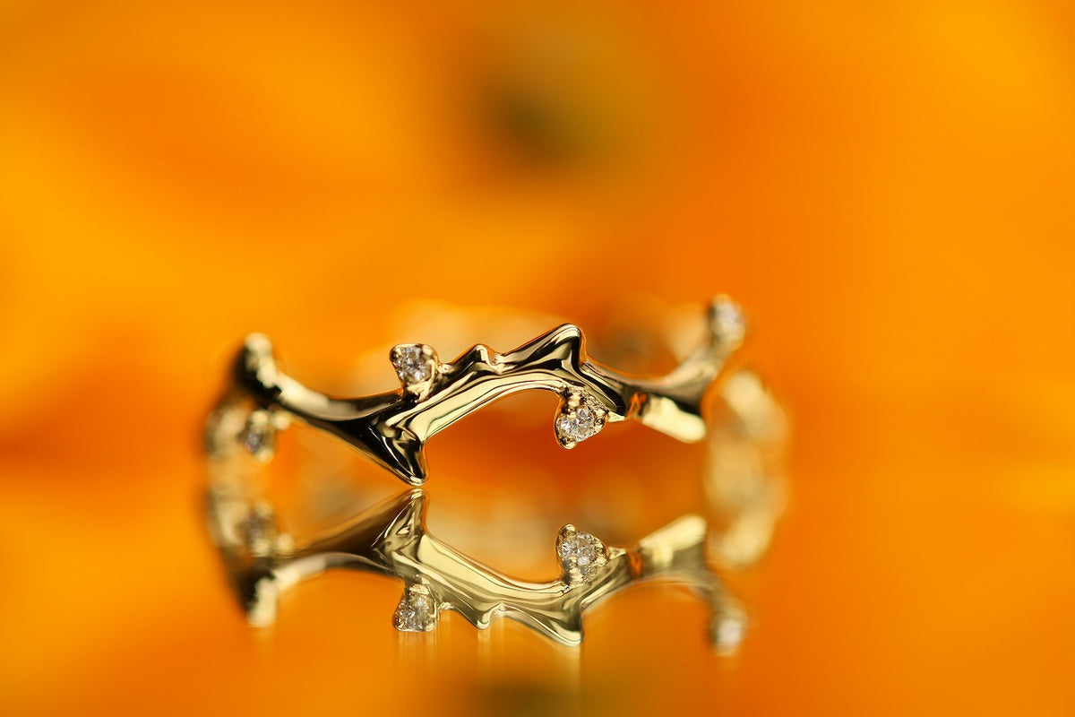 ソウルメイト　バラ Strada irta di spine – quarantotto