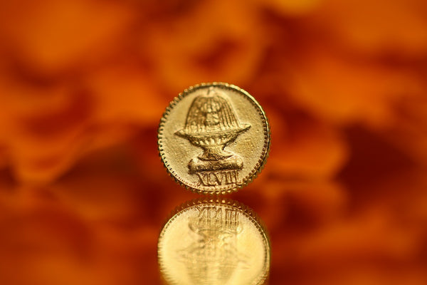 Moneta nella fontana