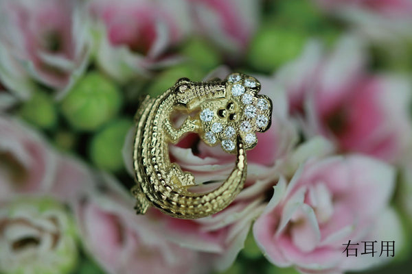 Coccodrillo fortunato