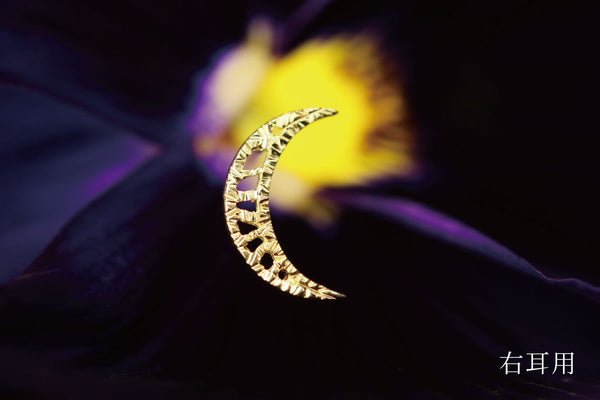 Luna crescente fiorentino