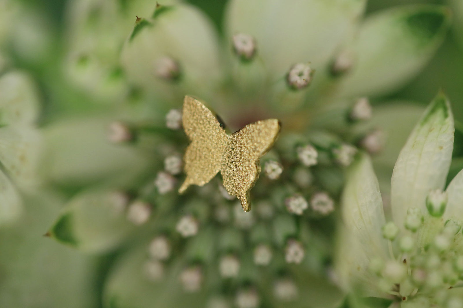 Ulysses – quarantotto