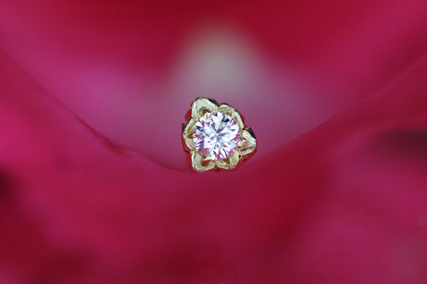 Pietra mia < White Diamond >