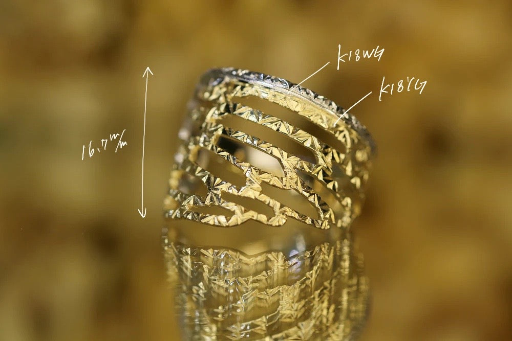 Leone alato – quarantotto